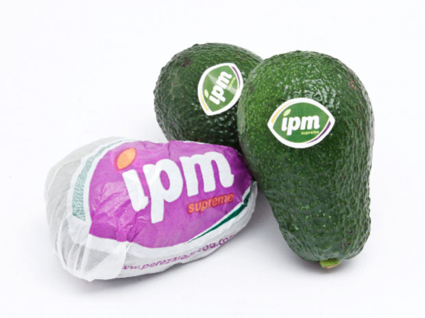 DIseño de imagen corporativa para IPM Frutas