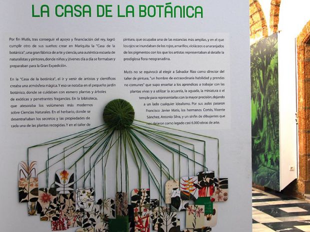Diputación de Cádiz Diseño de la Exposición el Viaje de Mutis