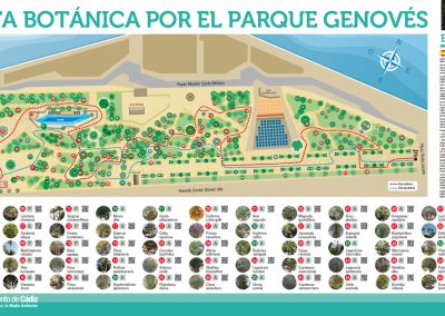 Ruta Botánica por el Parque Genovés